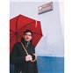 PIGANIOL Tradition Parapluie canne